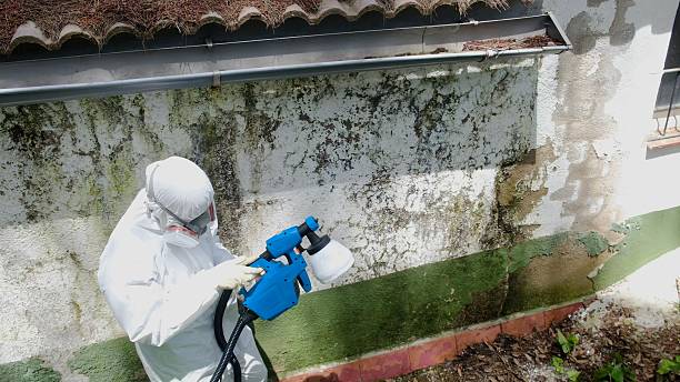 Top rated local Crawl Space Mold Remediation specialists in Charlotte Hall, MD